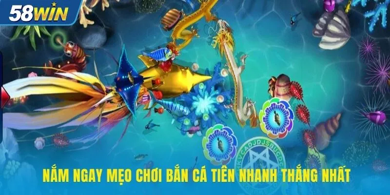 Nắm ngay mẹo chơi bắn cá tiên nhanh thắng nhất Nắm ngay mẹo chơi bắn cá tiên nhanh thắng nhất